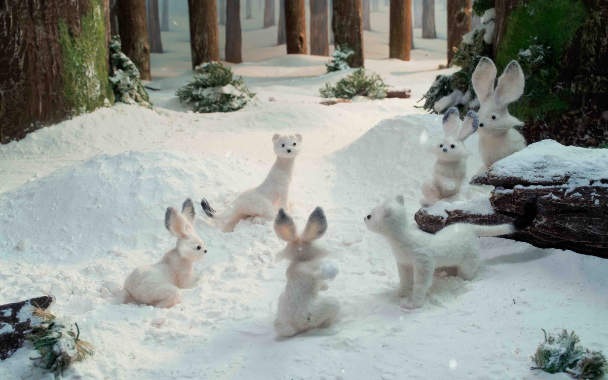 Cinema dei piccoli